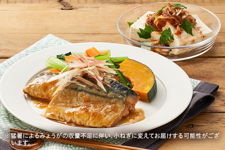 Kit2人前 シャキ みょうが香るさばのみぞれ煮 有機野菜 通販 ｏｉｓｉｘ おいしっくす