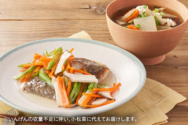 Kit2人前 揚げ焼きカレイの3種野菜あんかけ 有機野菜 通販 ｏｉｓｉｘ おいしっくす