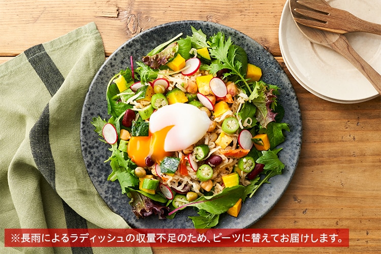 Kit 名店監修 かぼっコリーと切干大根のサラダ オイシックス公式