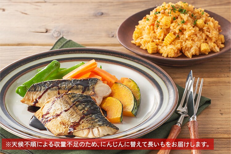 Kit2人前 さばと野菜のグリル バルサミコ風味 有機野菜 通販 ｏｉｓｉｘ おいしっくす