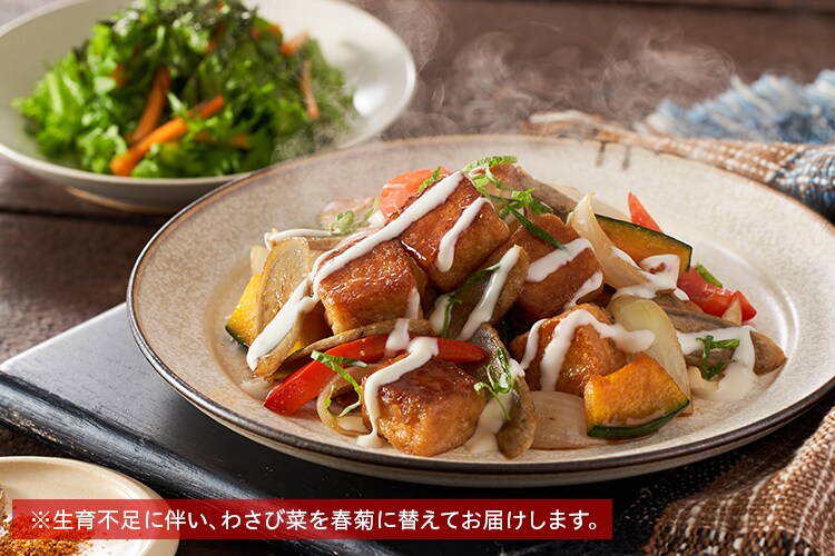 Kit2人前 ヴィーガン ごぼうと練りあげ照焼 有機野菜 通販 ｏｉｓｉｘ おいしっくす