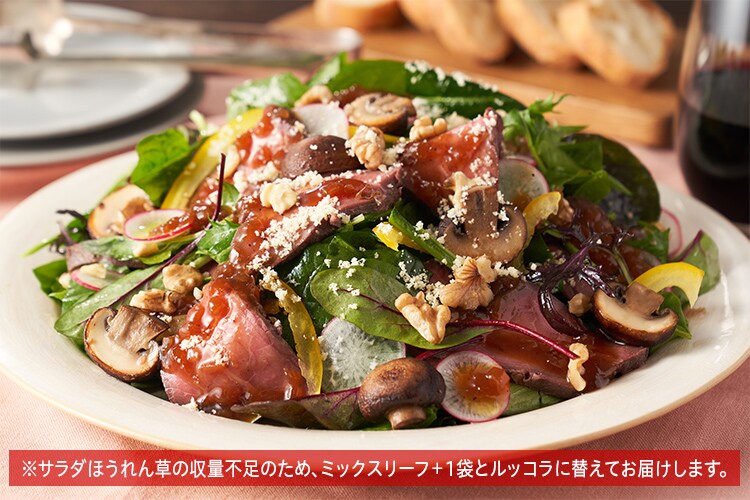 ★サラダピクルスさん専用★HPIサベージボディ　赤・ 紺　２個 ☆サラダピクルスさん専用☆HPIサベージボディ 赤・ 紺 2個 ホビー