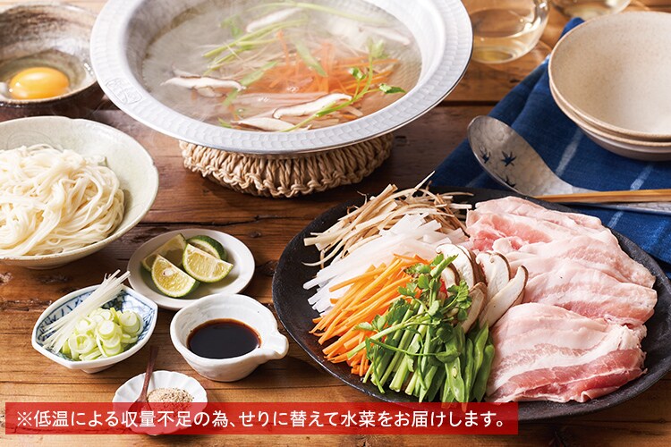 Kit]名店監修！せん切り野菜の香り豚しゃぶ|有機野菜 通販