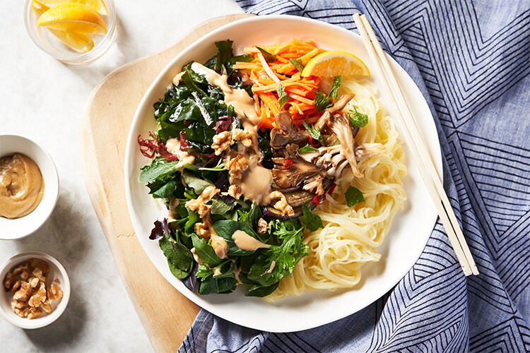 Kit2�l�O�^[���B�[�K��]���܂���x�W��₵��