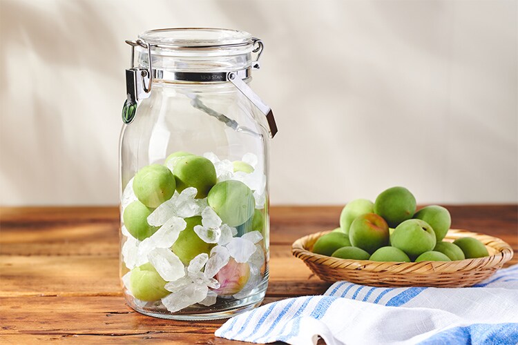 Kit]梅1kg！手もぎ梅の梅シロップ|有機野菜 通販 Oisix(おいしっくす)