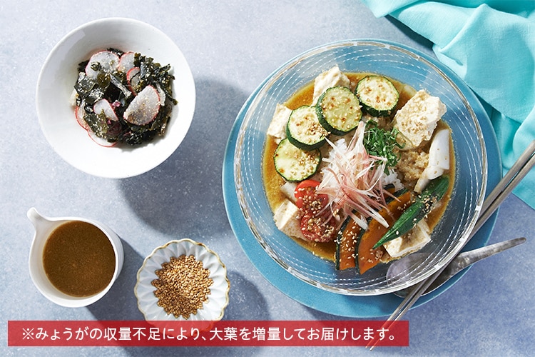 Kit2人前／[ヴィーガン]彩野菜の香ばし冷や汁|有機野菜 通販