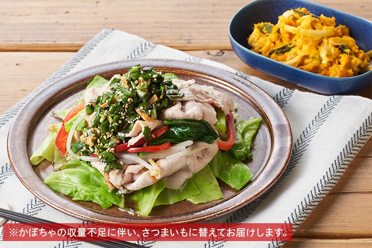 Kit2人前／オレぺ監修 豚と野菜のニラ香味だれ|有機野菜 通販