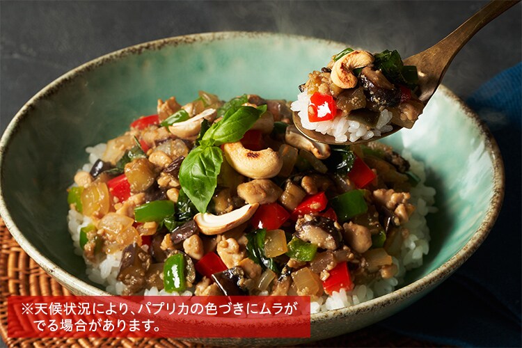 Kit2�l�O�^[���B�[�K��]�u�߂邾���K�p�I���C�X