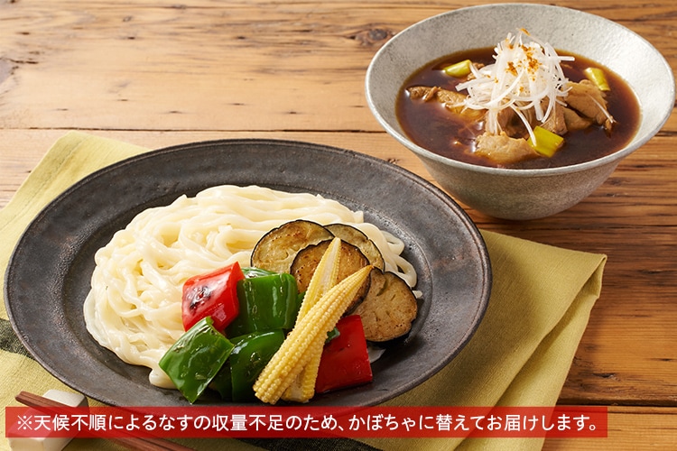 麺Kit]4種彩り野菜の肉汁カレーつけうどん|有機野菜 通販 Oisix