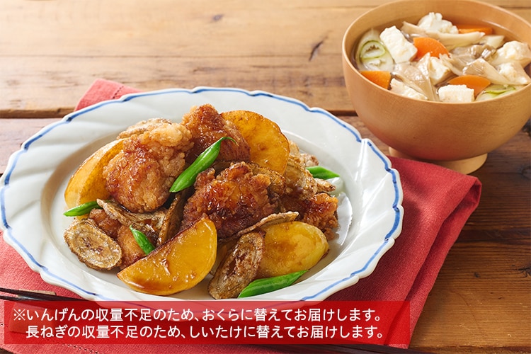 ココグルメ　（ポーク6袋・チキン11袋） ココグルメ （ポーク6袋・チキン11袋） ココグルメ （ポーク6袋