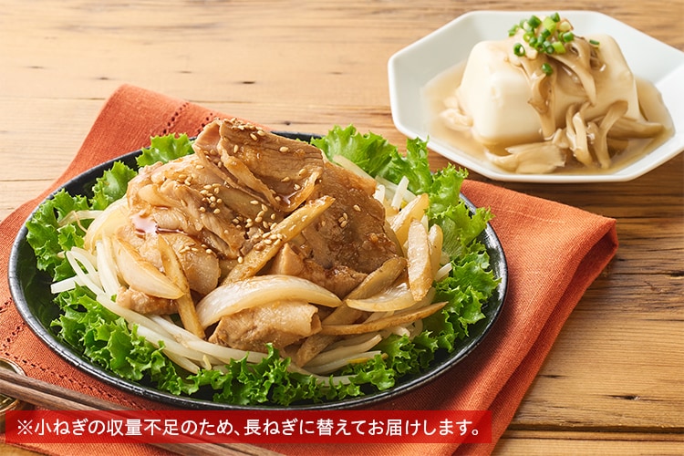 Kit2人前／ごはんがすすむ！豚肉のスタミナだれ|有機野菜 通販