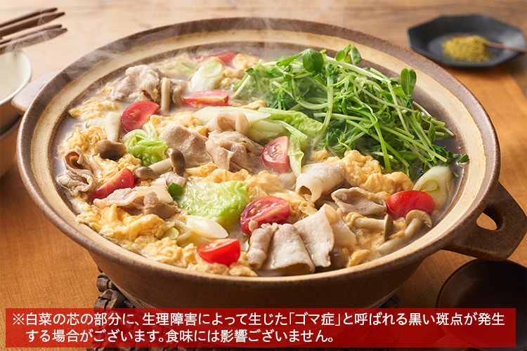 果物&お野菜set⭐️新品5枚⭐️おくら&スイカ&いちご&洋梨&りんご りんご ｜Seika（せいか）国産フルーツギフト専門店