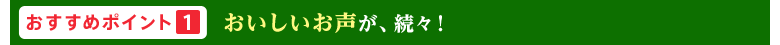 おすすめポイント1
