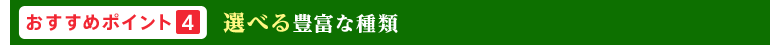 おすすめポイント4