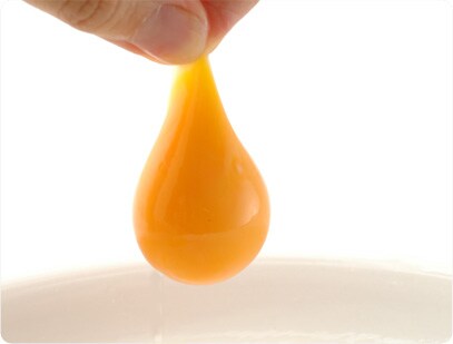 ���������̃q�~�c�͉a�Ɗ��ɂ���B