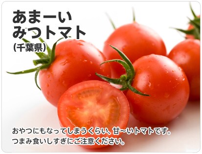 ���܁[���݂g�}�g�B