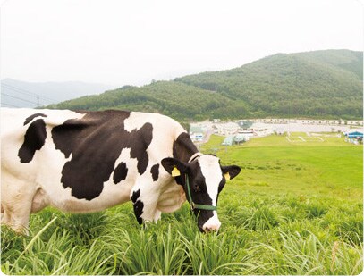 �������ދ����́A�Ƃт����肨���������̂��B