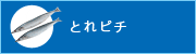 Ƃs`