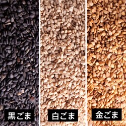 生のごま3種