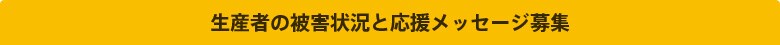 bZ[WW