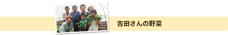 吉田さんの野菜
