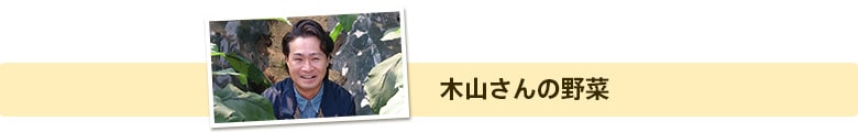 木山さんの野菜