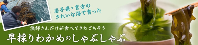 ̂킩߂̂Ԃ