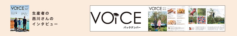 voice