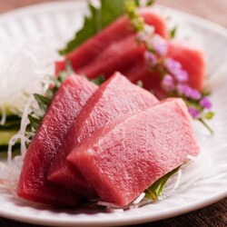 天然本マグロ