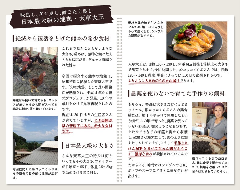 ���{�ő勉�̒n�{�E�V���剤