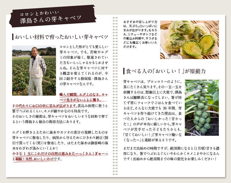 �V������̉�L���x�c