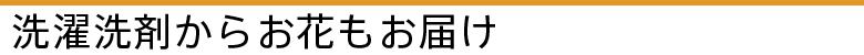 ܂炨Ԃ͂