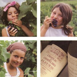 BVN �V���g�[ �f�� �V���e���[�� ��