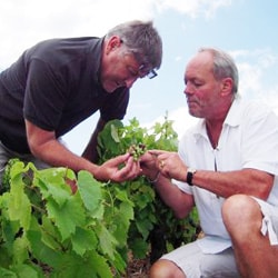 BVN キュヴェ・ジェラール・カナール 赤