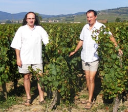 BVN ドメーヌ デ デュック 赤