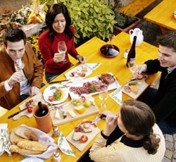 �U�[�w�� �z�C���Q �Q�~�V���^�[�T�b�c ��