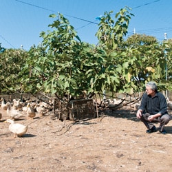 �����̃R���t�B�i�N�[���j