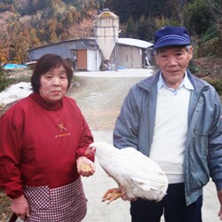 神山鶏