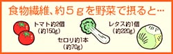 食物繊維、約5%を野菜で摂ると・・・