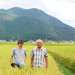 兵庫県丹波産 夢ごこち