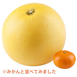 Ȋk