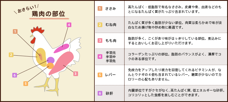鶏肉の部位