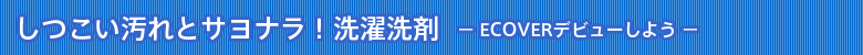 ƃTiI |ECOVERfr[悤|