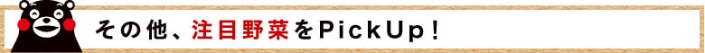 y̑Aږ؂PickUpIz