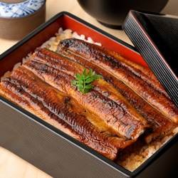 鰻師の炭火蒲焼(無投薬・鹿児島県産)カット