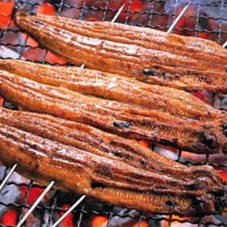 鰻師の炭火蒲焼(無投薬・鹿児島県産)カット