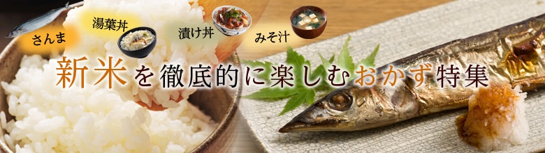 新米を徹底的に楽しむおかず特集(10/11更新)|有機野菜などの安全食材宅配 Oisix(おいしっくす) ★食品詰め合わせ★ココア、飴、お肉漬け込みの素 3種10点!お得 セット