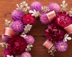 ���u���[�n�[�g�̃N���X�}�X���[�X