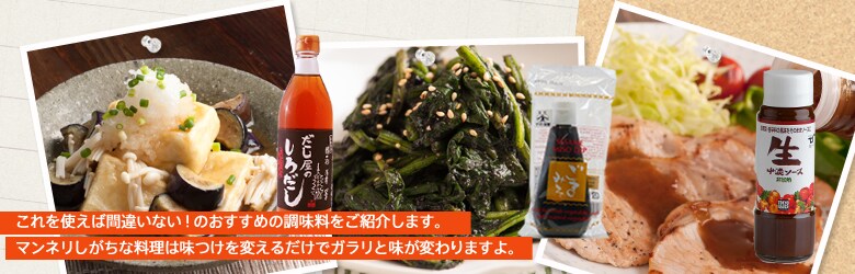 びしっと一発味付け調味料