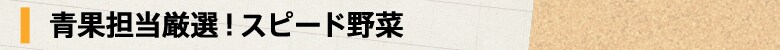 ʒSIIXs[h
